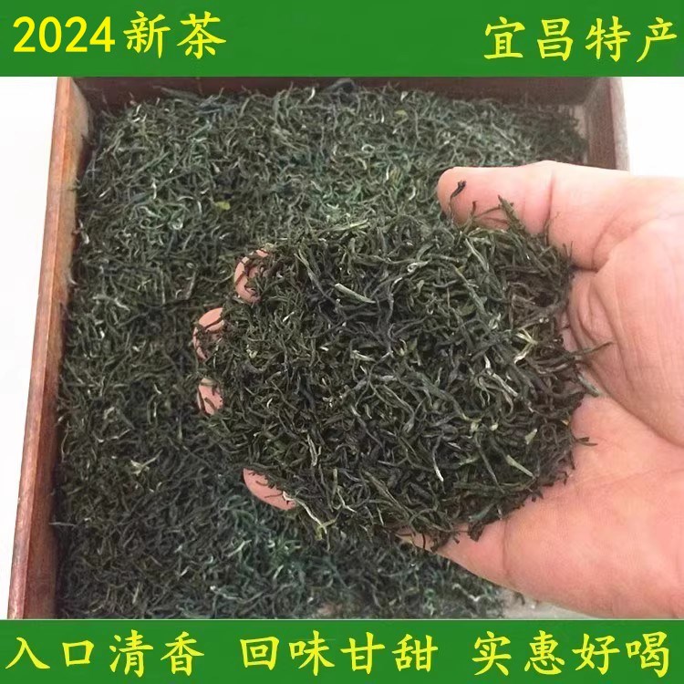 2024新茶三峡高山雨前毛尖绿茶叶