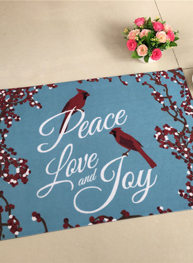 新品可手洗机器洗可机洗超薄地垫吸水防滑蹭土脚垫喜庆地毯4770c