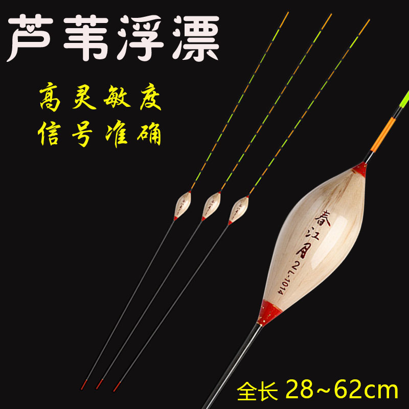 芦苇高灵敏浮标黑坑行程漂