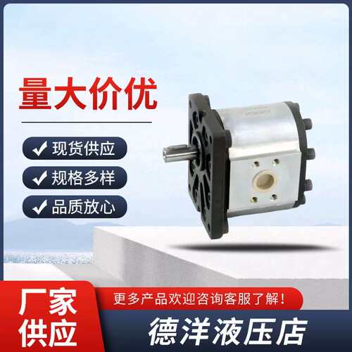 布雷维尼Brevi齿轮泵OT100P11 D/G18 OT200P04 S/R OT300液压帮浦
