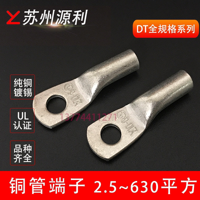 苏州源利冷压紫铜铜管端子DT