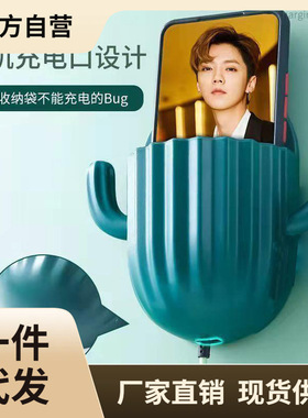 6QCS Non punching Cactus Wall Hanging Storage Box Toothbrus