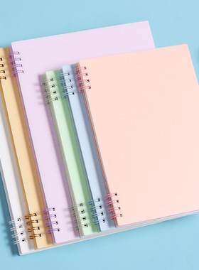 Minimalist Morandi coil notebook with 8 holes and thick hor