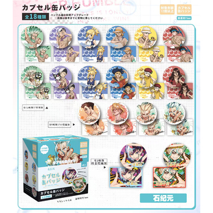 石纪元 Dr.STONE 石神千空动漫周边徽章挂件75mm炫彩吧唧盒装混池