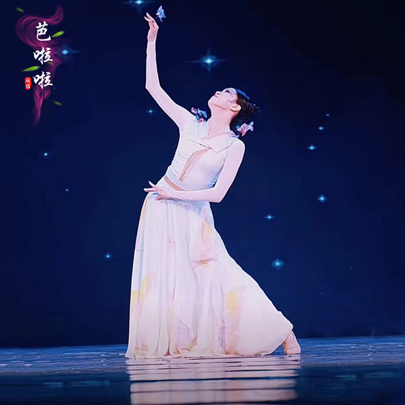 古典舞演出服艺考剧目蝶梦云水乡同款舞蹈服一片式大裙摆练习裙女