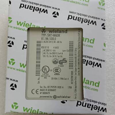 可维修威琅安全继电器 SNT 4M63K 正品 制造