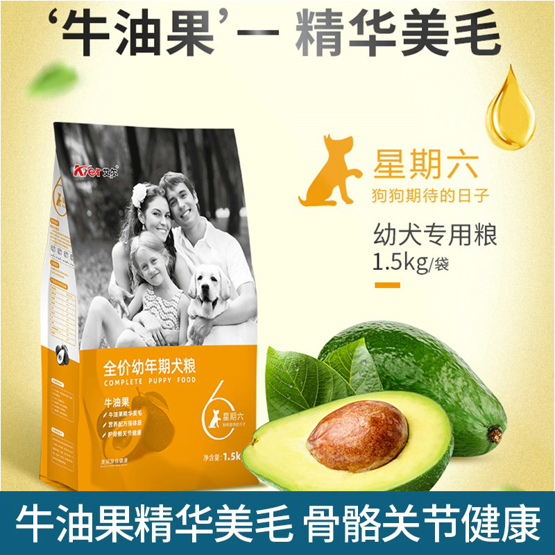 艾尔泰迪柯基博美比熊通用幼犬