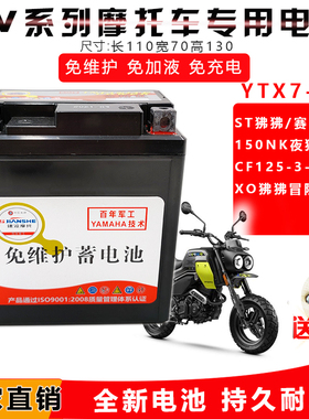 适用摩托车电瓶通用春风ST150狒狒SR250NK400GT国宾650NK电池12V