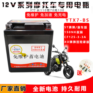 适用摩托车电瓶通用春风ST150狒狒SR250NK400GT国宾650NK电池12V