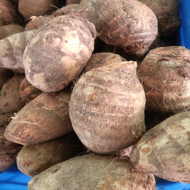 江西省大余食用农产品新鲜农家-毛芋头粉糯滑芋艿子小香芋5斤包邮