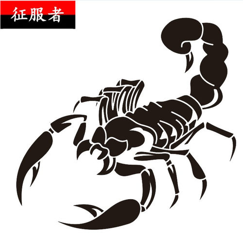 装饰贴头盖拉花蝎子刮痕车身