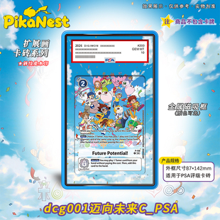 【Pika】数码宝贝PSA迈向未来DTCG评级扩展画磁吸金属框卡砖收藏