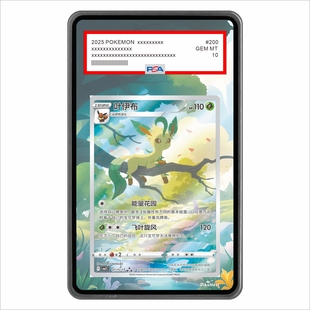 【Pika】宝可梦PTCG繁中日版叶仙子月亮伊布耿鬼扩展画亚克力卡砖