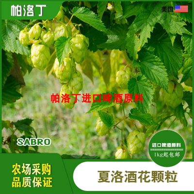 美国进口夏洛啤酒花精酿原料