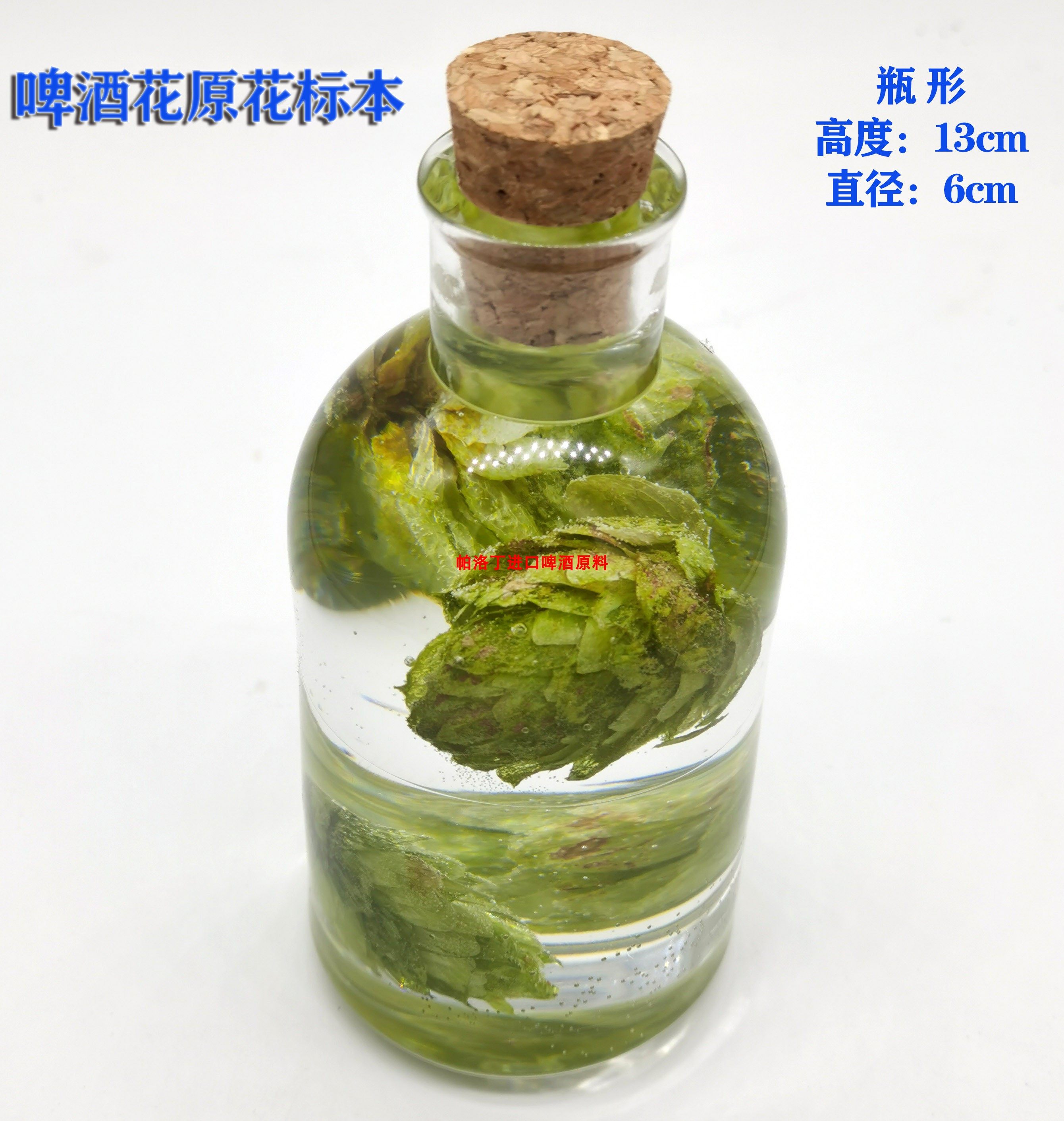 啤酒花干花装饰 啤酒花原花封装 瓶形环氧树脂透明酒花装饰,家居饰品,标本类装饰画,淘宝优惠券,粉丝福利购,淘宝优惠卷