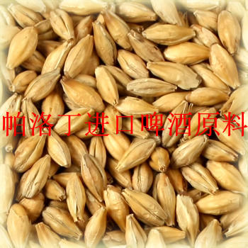 新西兰乐斐Gladfield淡色拉格麦芽2.5-2.9EBC 精酿啤酒原料500g