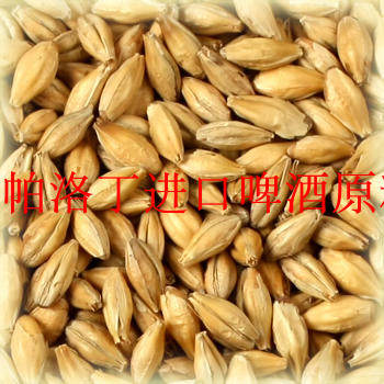 皮尔森麦芽2.5-3.5EBC 淡色皮尔森麦芽 精酿自酿啤酒25kg运费提付
