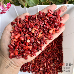 仿红珊瑚碎石 DIY滴胶许愿瓶石 儿童淘矿考古挖掘矿石