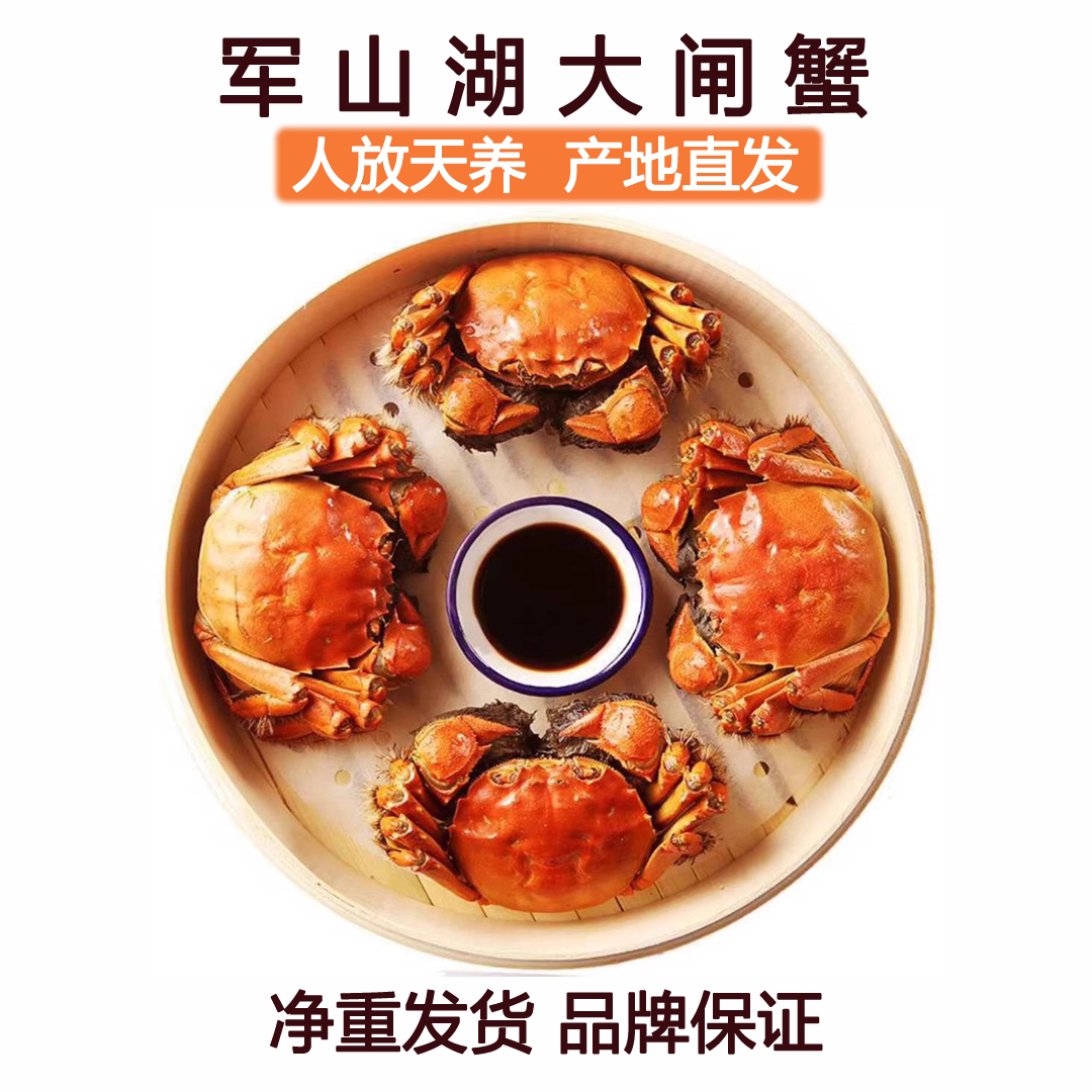 活蟹蟹后母4两以上8只装南昌全母蟹军山湖大闸蟹特大螃蟹鲜活礼盒