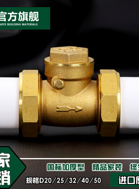 全铜4分20ppr双活接止回阀6分单向逆止阀卧式自来水热熔水表阀门