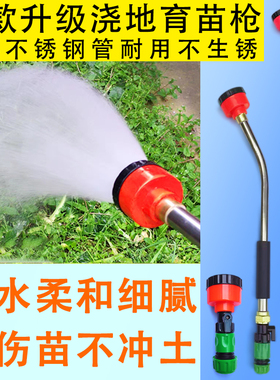 育苗喷头育苗枪花洒水枪1000目400目喷片花卉喷枪浇水浇地浇园林