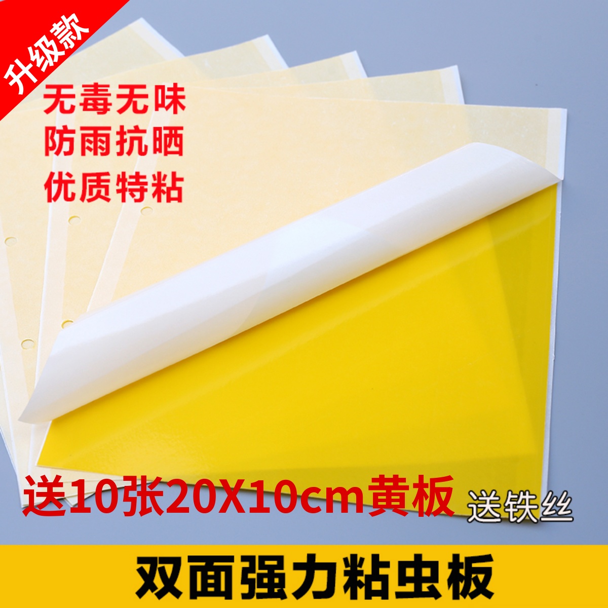 双面强力粘虫板诱虫板黄板小飞虫果树苍蝇果蝇果园针蜂粘蝇贴蔬菜