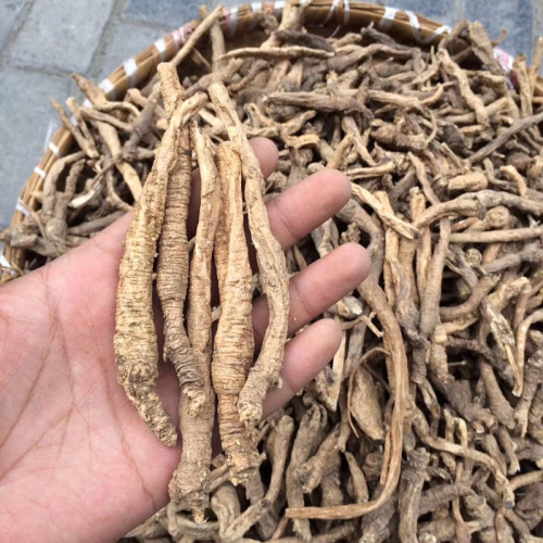 精选神农架滋补煲汤250g包邮沙参