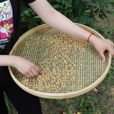 竹编有孔晾晒筛子圆簸箕沥水装饰竹匾农家大号竹筲箕手工竹制品