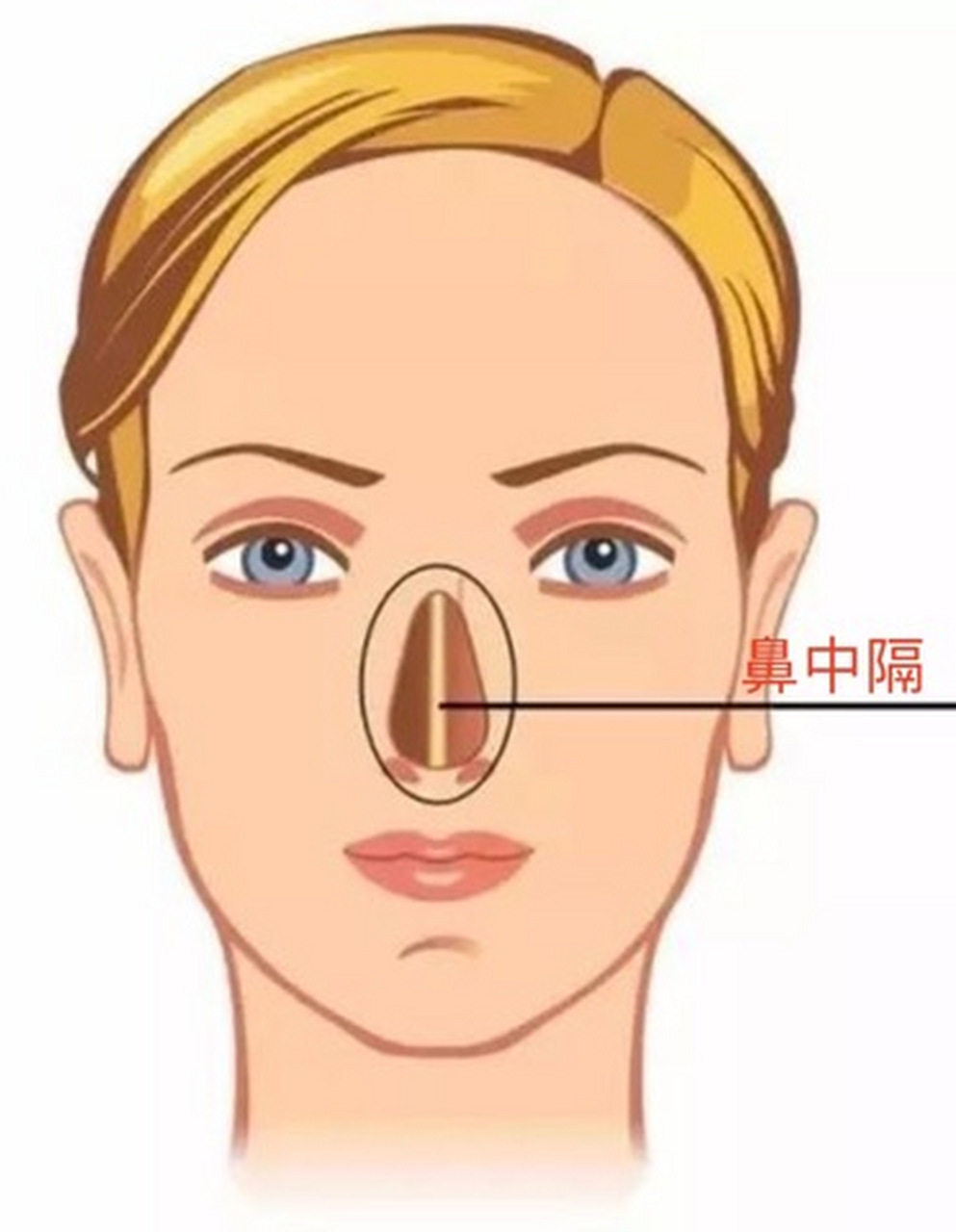 草本瘦鼻中隔软骨精华 天然加强版