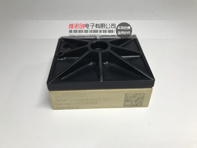 SKIIP24NAB125T12 SKIIP22NAB125T12 SKIIP22NAC12IT42