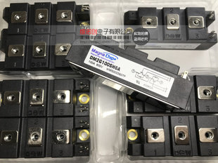 正品 DM2G100SH6A DM2G100SH6N 100A 600V 全新原
