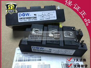 【企业认证】全新原包装 现货DM2G100SH12AE