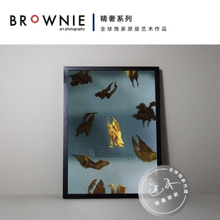 BROWNIE原版高档艺术摄影胶片植物装饰画背景墙挂画 述禾 碎片 II