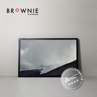 brownie原版轻奢限量摄影装饰画