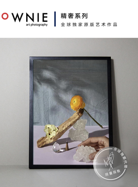 BROWNIE艺术摄影 原版限量 现代装饰画 Magali Polverino《关系》