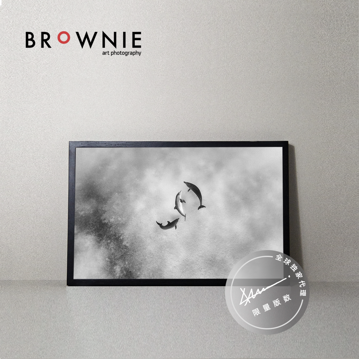 brownie全球限量原版艺术摄影现代装饰画儿童房 昂里克 三条海豚