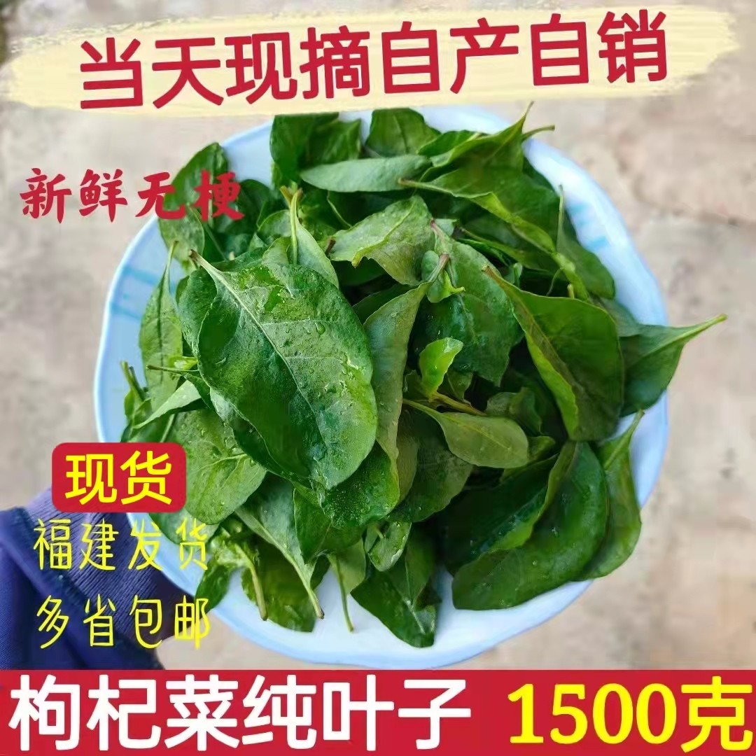 【当天采摘】枸杞叶 新鲜枸杞叶子3斤 枸杞菜煮汤蔬菜  省包邮