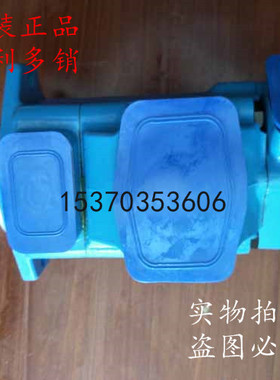 美国SUNNY油泵4535V66A21/25/30/32/35/38/45-86/1AA/BB/CC/DD22R