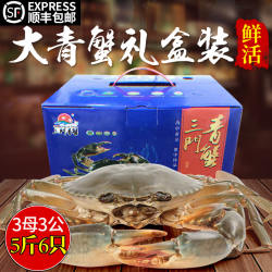 三门青蟹鲜活特大超大螃蟹5斤3母3公豪华礼盒装螃蟹海鲜水产海蟹