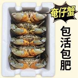 三门青蟹鲜活大螃蟹 奄仔蟹公蟹母蟹肉蟹海鲜水产2斤礼盒包活包肥