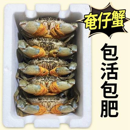 三门青蟹鲜活大螃蟹 奄仔蟹公蟹母蟹肉蟹海鲜水产2斤礼盒包活包肥