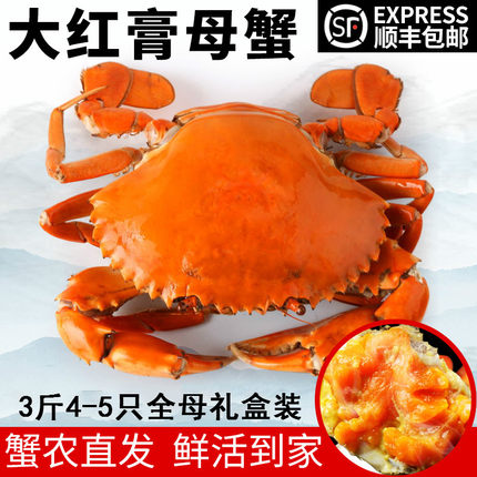 三门青蟹鲜活螃蟹蝤蠓3斤4-6只全母大红膏蟹礼盒海鲜水产海蟹满膏