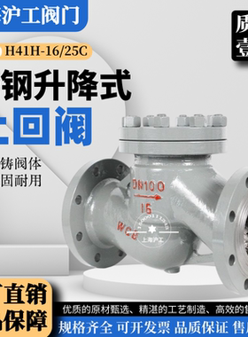 上海沪工铸钢升降式止回阀H41H