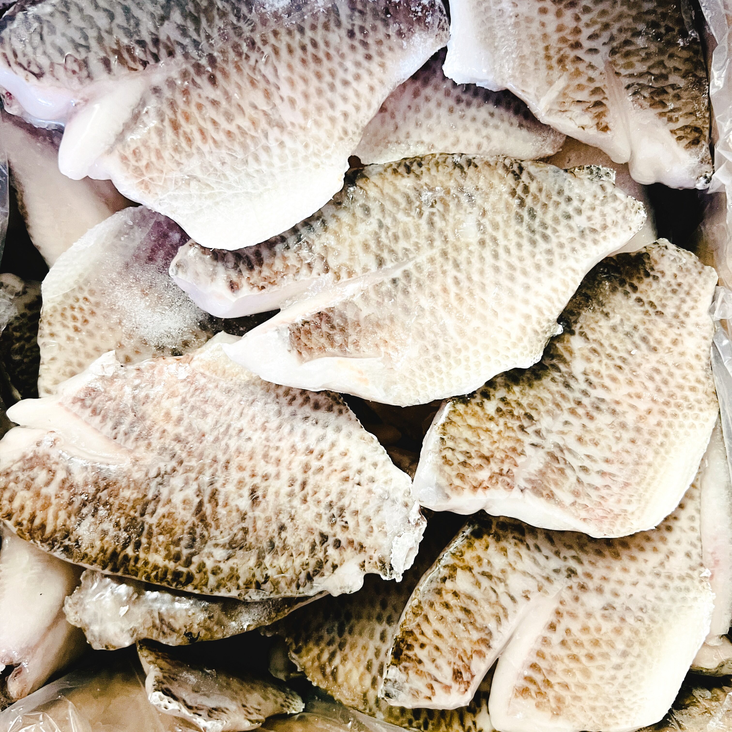 带皮鲷鱼片整箱商用20斤冷冻新鲜罗非鱼鱼片烤鱼饭酒店冷冻食材