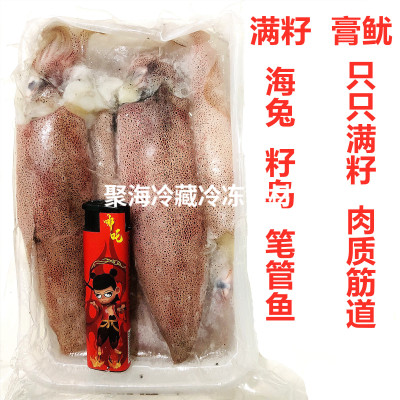 大号冷冻膏鱿海兔籽乌笔管鱼满籽400g/包 4-5只九成满膏 酒店餐饮