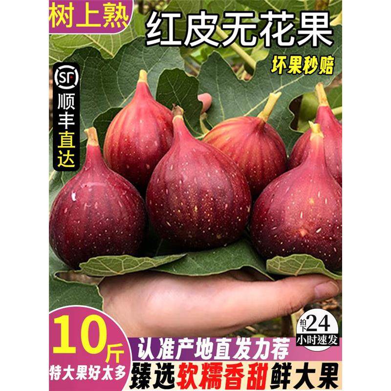 【顺丰现货】无花果鲜果无花果新鲜孕妇水果10斤当季青红皮特大果,水产肉类/新鲜蔬果/熟食,无花果,淘宝优惠券,粉丝福利购,淘宝优惠卷