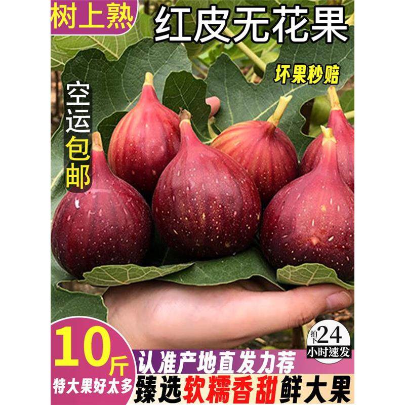 【顺丰现摘】无花果鲜果新鲜10斤孕妇水果应季大果青红皮鲜果整箱,水产肉类/新鲜蔬果/熟食,无花果,淘宝优惠券,粉丝福利购,淘宝优惠卷