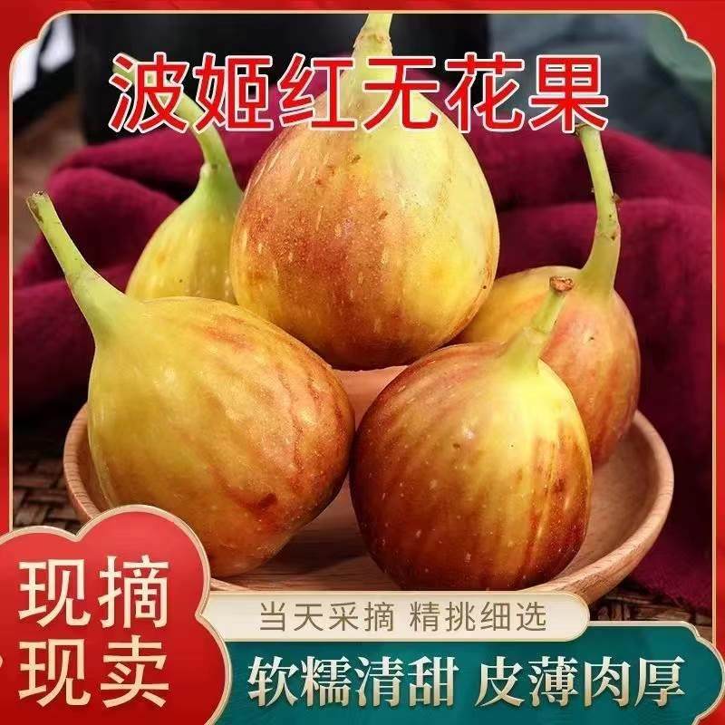 【顺丰】现摘无花果5斤新鲜水果当季精品大果红皮无花果产地直发,水产肉类/新鲜蔬果/熟食,无花果,淘宝优惠券,粉丝福利购,淘宝优惠卷