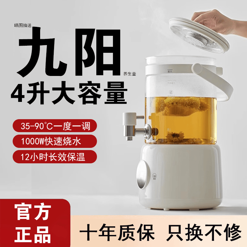 德国2025新款4升养生壶家用炖煮一体大容量带水龙头煮茶壶多功能