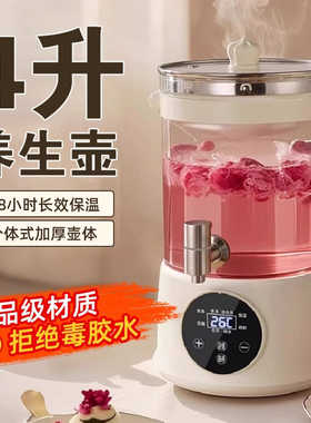 2025新款4升养生壶炖煮一体花茶煮茶烧茶壶电热一体煮水壶大容量